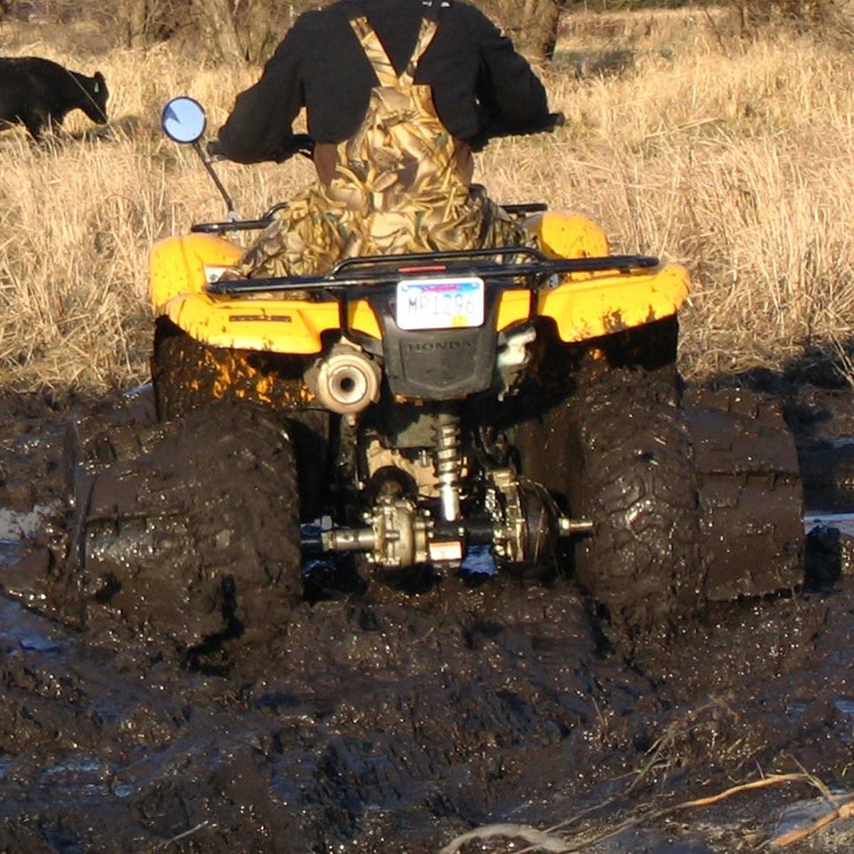 Rear Bolt Stabilizer Kit